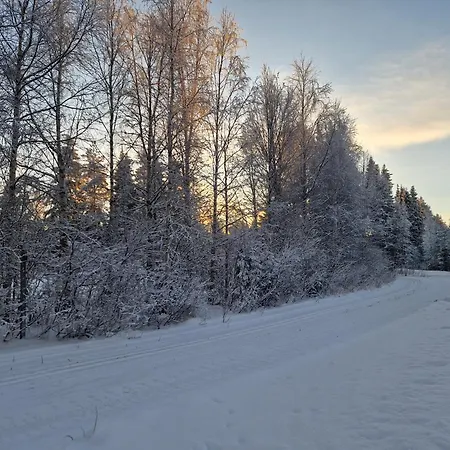 Apartment Charming House In *