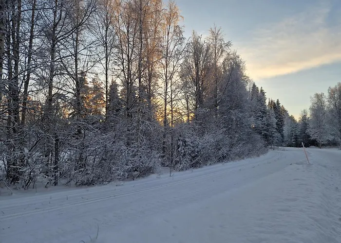 Daire Charming House In *